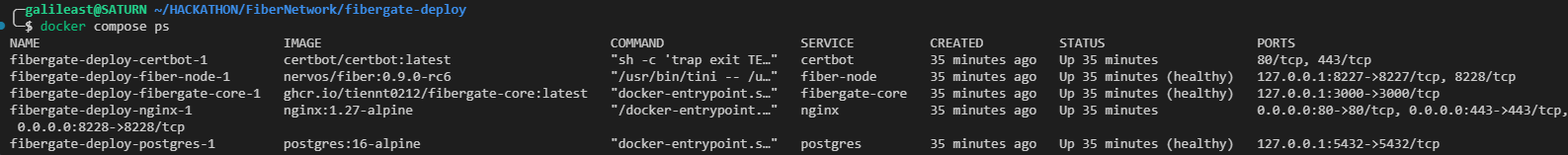 docker compose ps output showing the services healthy
