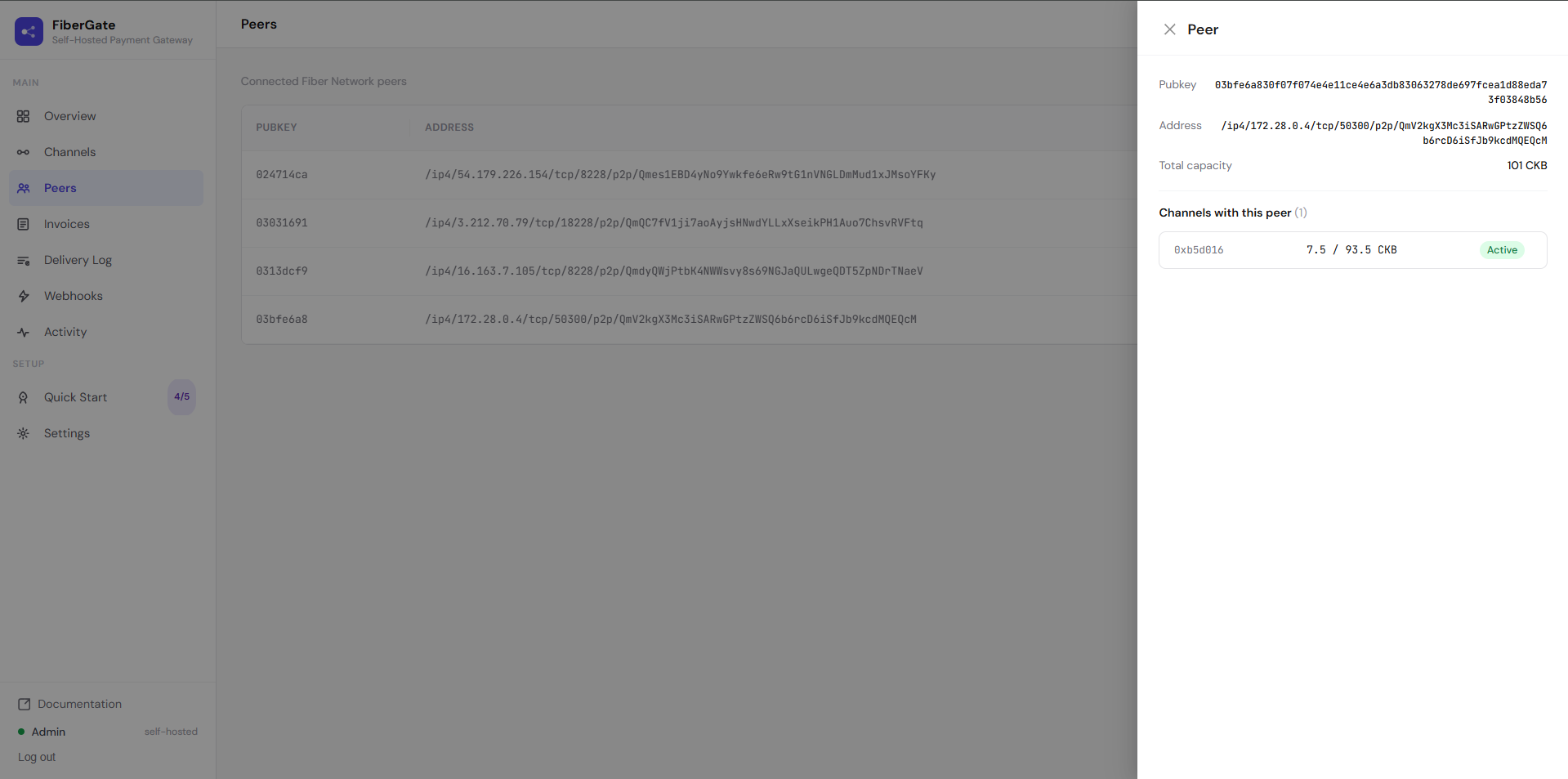 The Peers page with a peer drawer open